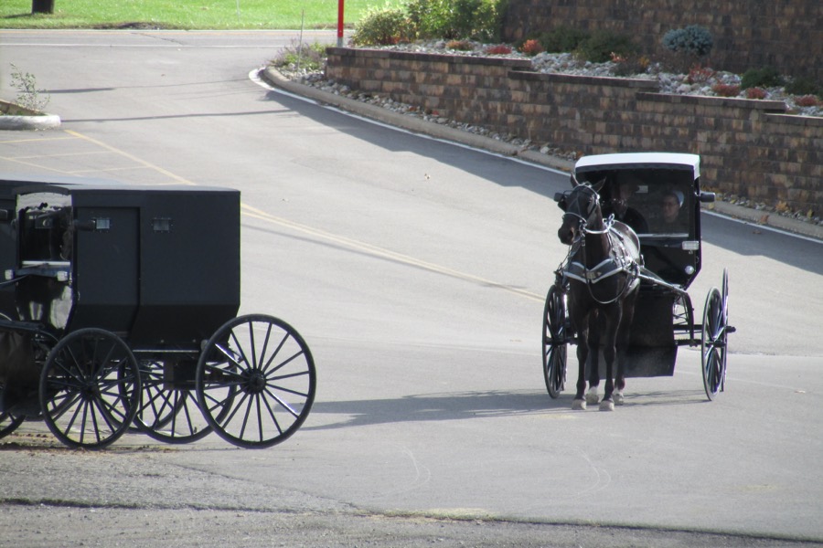 Berlin (Amish Country), OH