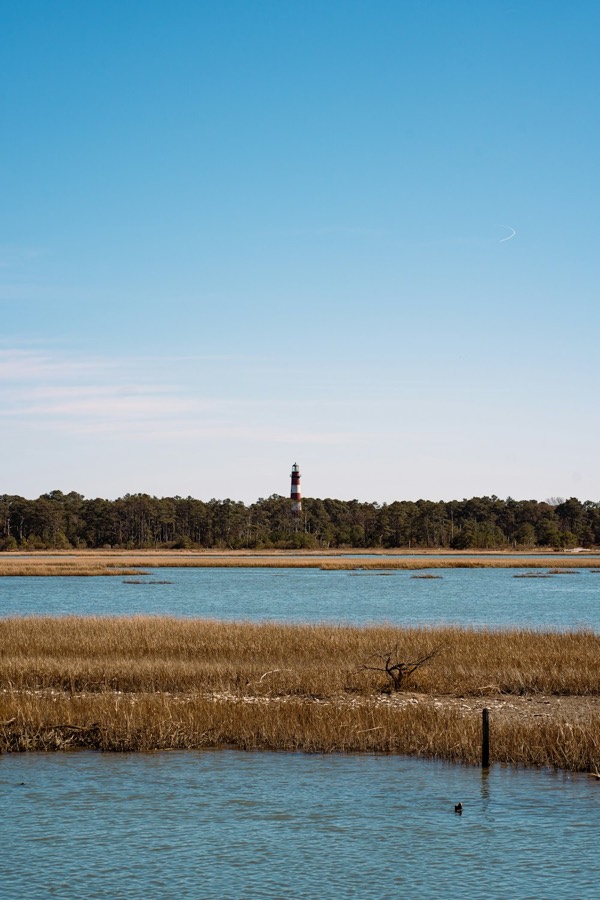 Chincoteague, VA