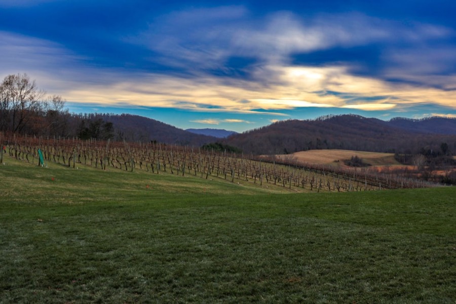 Loudoun County Wine Country, VA