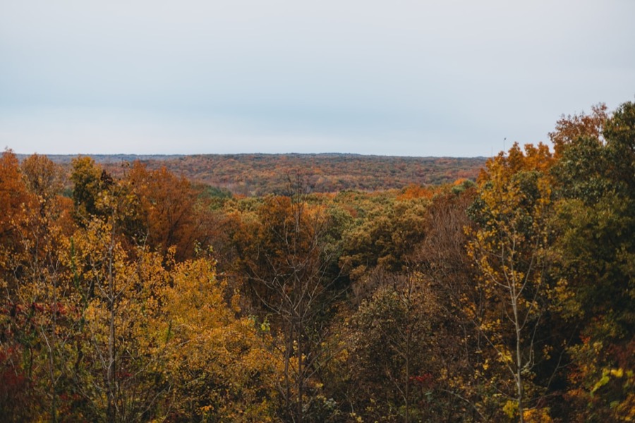Nashville (Brown County), IN